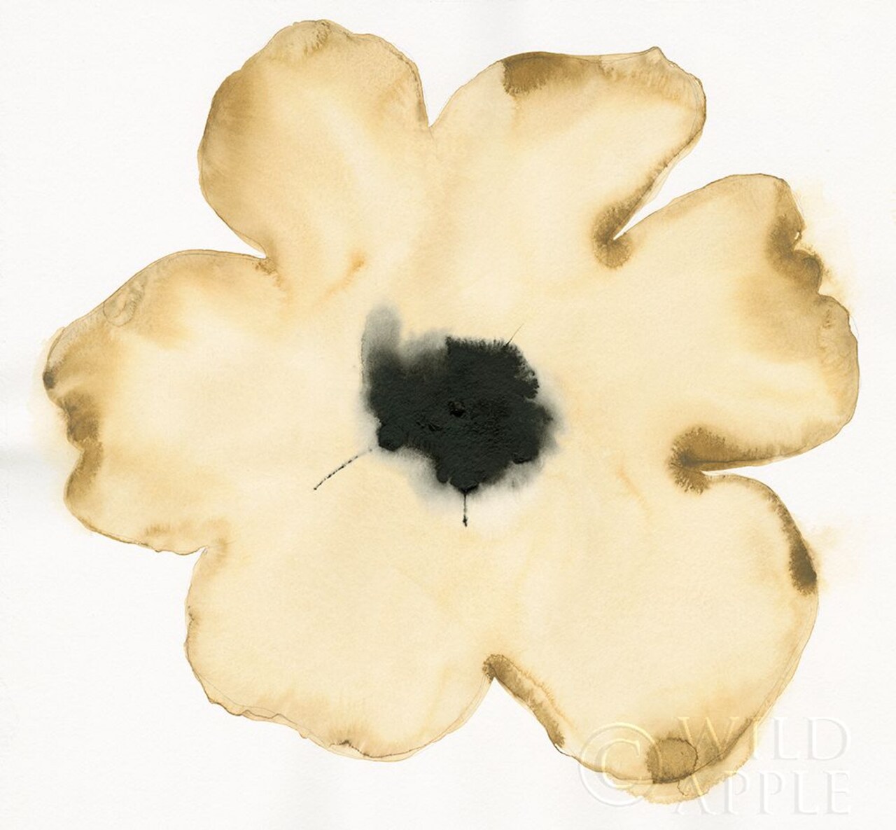 Suede Fleur II Poster Print by Shirley Novak - Item # VARPDX21190